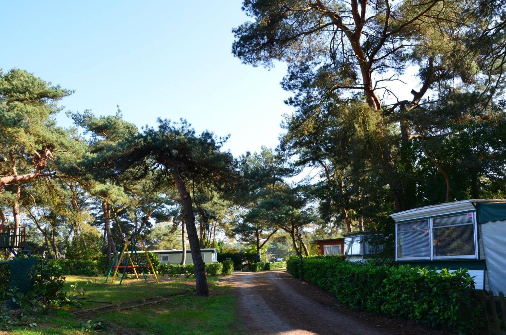 Safaritent At Camping Gt Keiheuvel Balen Exterior foto